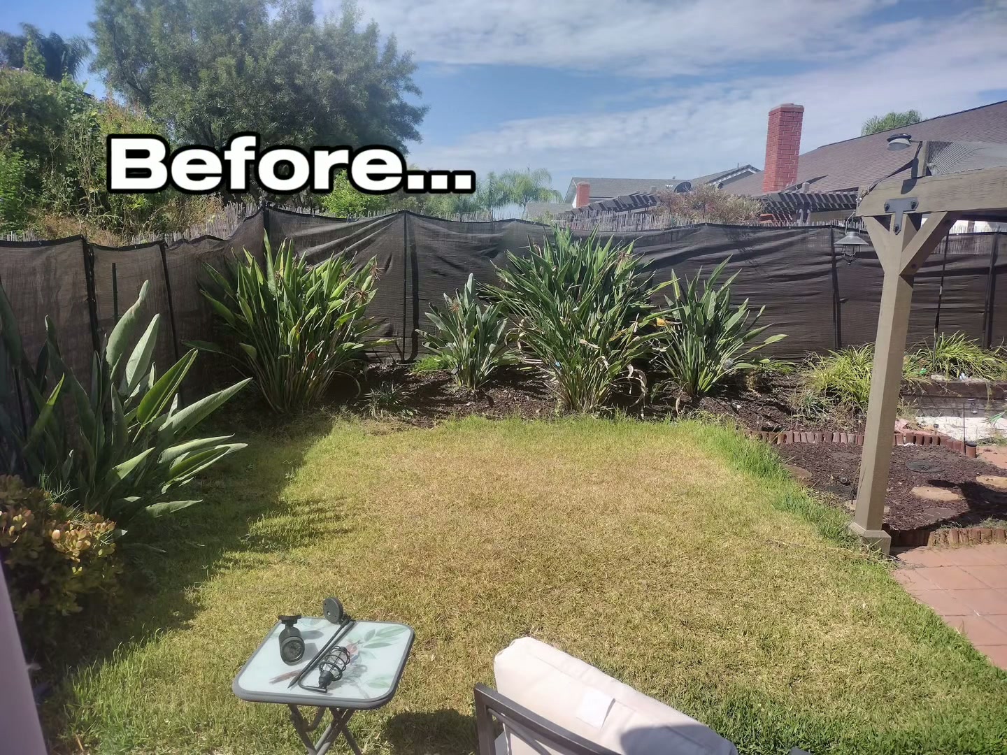 Backyard Transformation