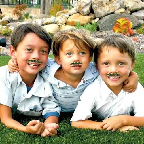 Three young kids lying on freshly installed NoMow Turf with grass mustaches