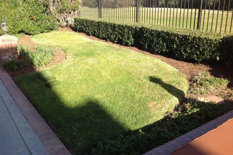Coto de Caza Artificial Grass Backyard Extreme Makeover