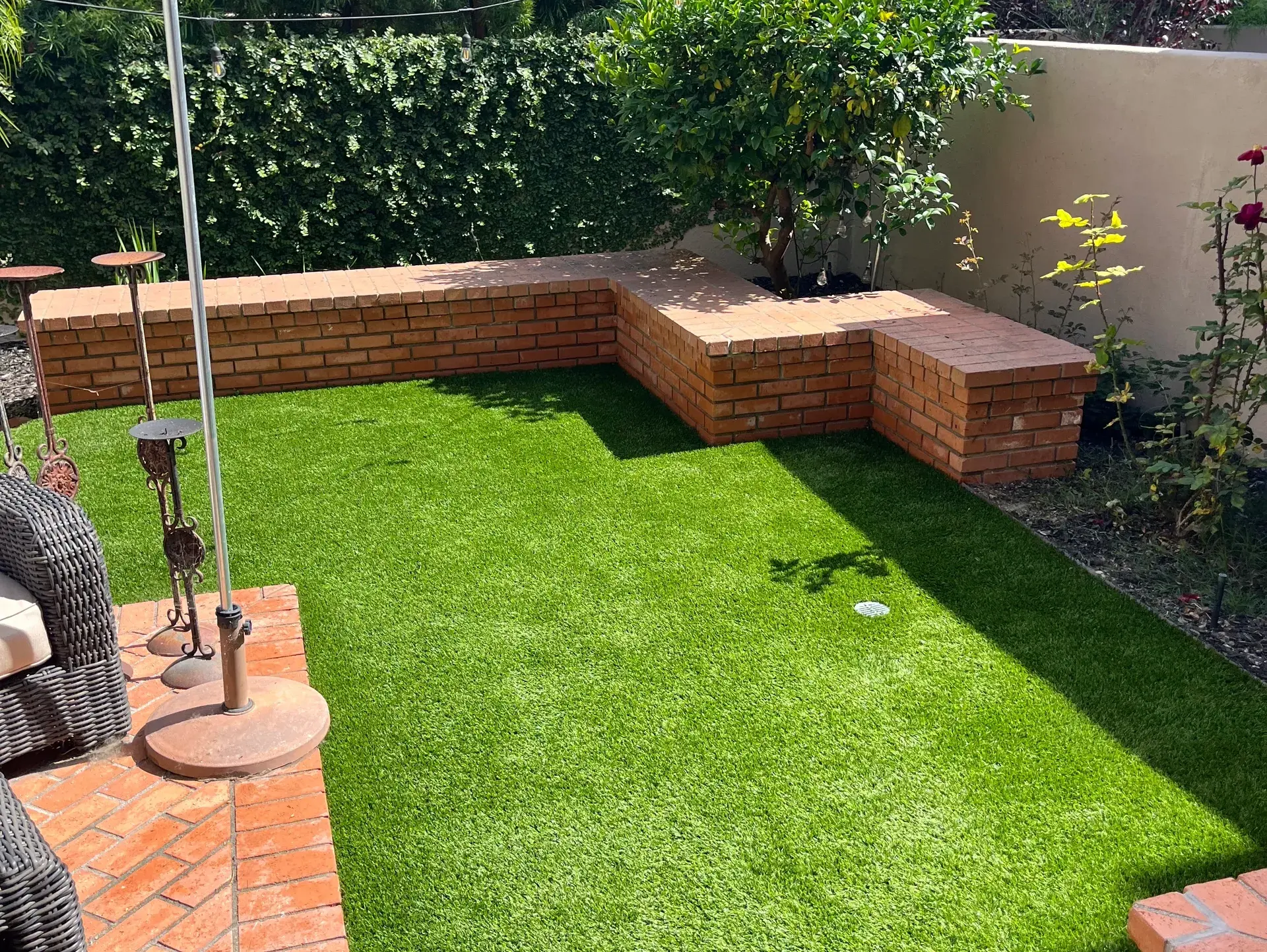 The same lawn looking bright and freshly groomed after TurfServ restoration